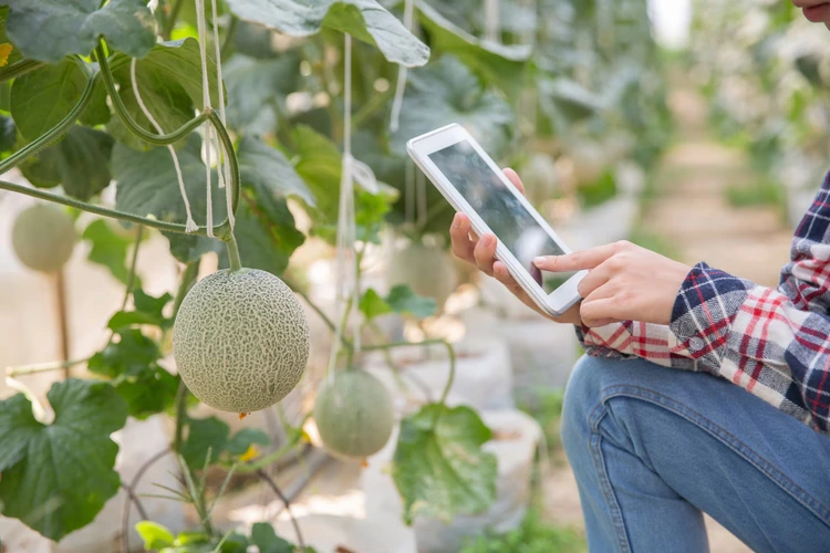 Wi-Fi Irrigation Controllers — Stop Watering Your Lawn When Its Already Raining